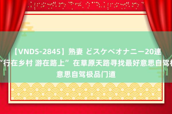 【VNDS-2845】熟妻 どスケベオナニー20連発！！ “行在乡村 游在路上” 在草原天路寻找最好意思自驾极品门道
