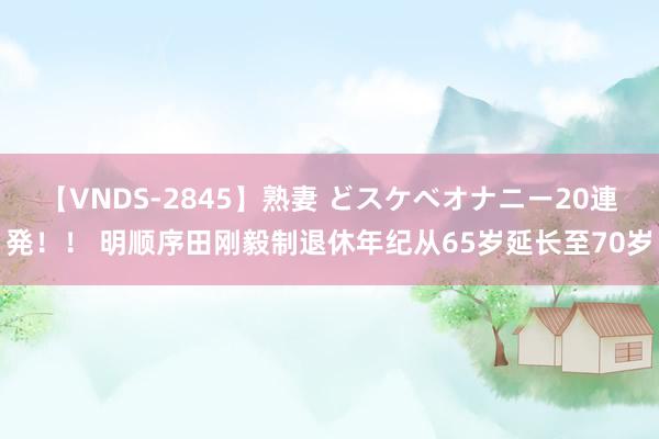 【VNDS-2845】熟妻 どスケベオナニー20連発！！ 明顺序田刚毅制退休年纪从65岁延长至70岁
