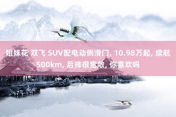 姐妹花 双飞 SUV配电动侧滑门， 10.98万起， 续航500km， 后排很宽敞， 你喜欢吗